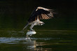 Osprey Takeoff XVIII