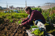 © sururu - Young woman gardening in urban garden