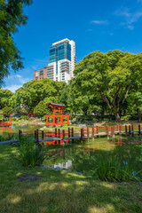 Wall Mural - Buenos Aires Japanese Gardens, a public space administered by a non-profit organization in Buenos Aires, Argentina. One of the largest Japanese gardens in the world outside Japan.