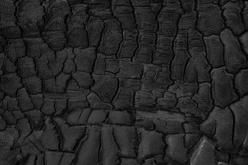 Wall Mural - Wood charcoal texture. Burnt tree. Black coal background