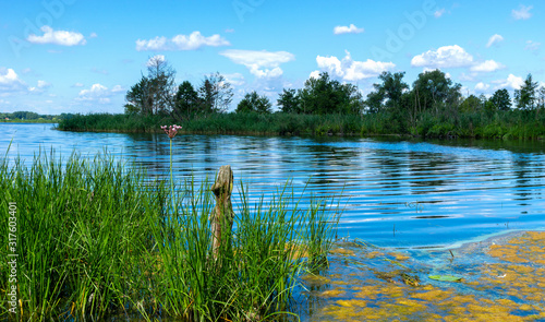 small-lake-in-summer-in-the-outskirts-of-berlin