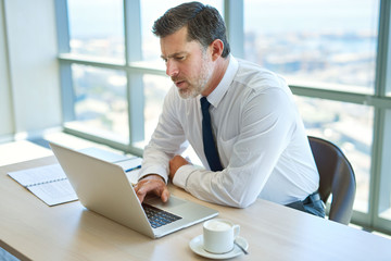 Wall Mural - Serious mature businessman working at his laptop office computer