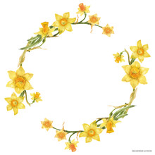 Decorative Watercolor Wreath With Yellow Daffodil Flowers
