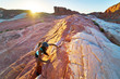 © Joshua Resnick - High angle view of female african american hiker climbing rock at Valley of Fire in nevada desert