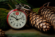 A Red And White Generic Pocket Watch Leans Against Pine Needles, Cones, And Moss. The Tones Of The Image Are Rich And Deep Suggesting Fall Or Evening. Illustration With A Lot Of Possibilities.
