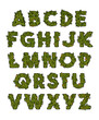 Decorative green marijuana alphabet design 