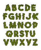 Fototapeta Młodzieżowe - Decorative green marijuana alphabet design 