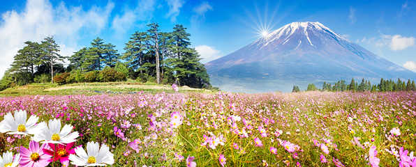 nice mountain view with nice sky and flower on the ground