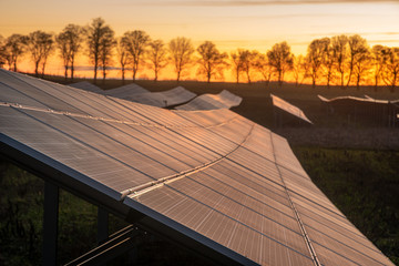 Wall Mural - photovoltaic power plant during sunrise