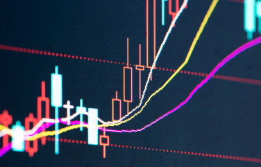 Business stats screen