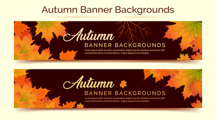 Wall Mural - Autumn Background, Autumn leaves Background, Autumn Banner Backgrounds