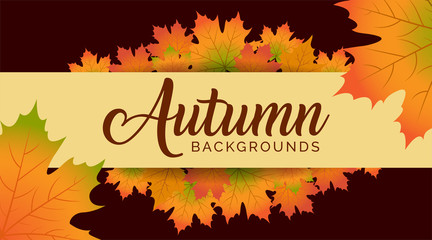 Wall Mural - Autumn Background, Autumn leaves Background, Autumn Banner Backgrounds