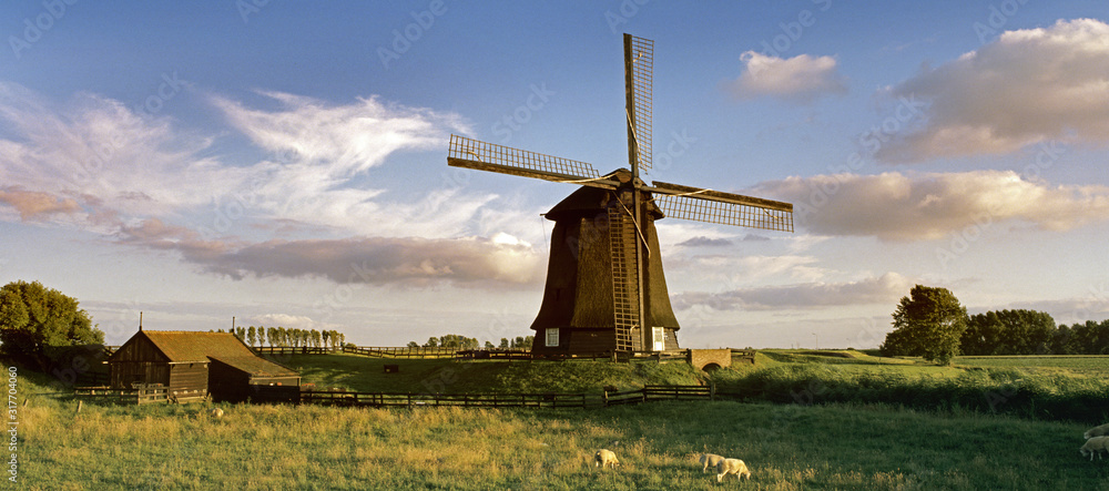 Dutch windmill - obrazy, fototapety, plakaty 