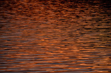 Sunset Water Texture