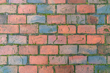 Wall Mural - The pavement of the old red brick.