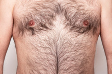 Close-up Part Of Hairy Body Of Man, Male Chest With Hair