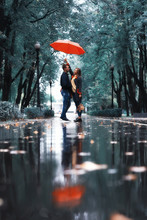 Two People Under An Umbrella / A Man And A Woman Are Walking In A Park With An Umbrella, Walking In The Fall In The Rain, An Autumn Umbrella