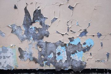 Abstract texture of old beige wall with peeled off paint and black line in the bottom.Beautiful, artistic, creative background.Beige rough weathered stone texture with blue and white paint. Copy space