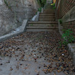 Staircase with leaf litter