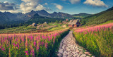 Fototapeta  - mountain landscape, Tatra mountains panorama, Poland colorful flowers and cottages in Gasienicowa valley (Hala Gasienicowa), summer