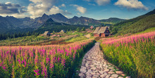 Mountain Landscape, Tatra Mountains Panorama, Poland Colorful Flowers And Cottages In Gasienicowa Valley (Hala Gasienicowa), Summer