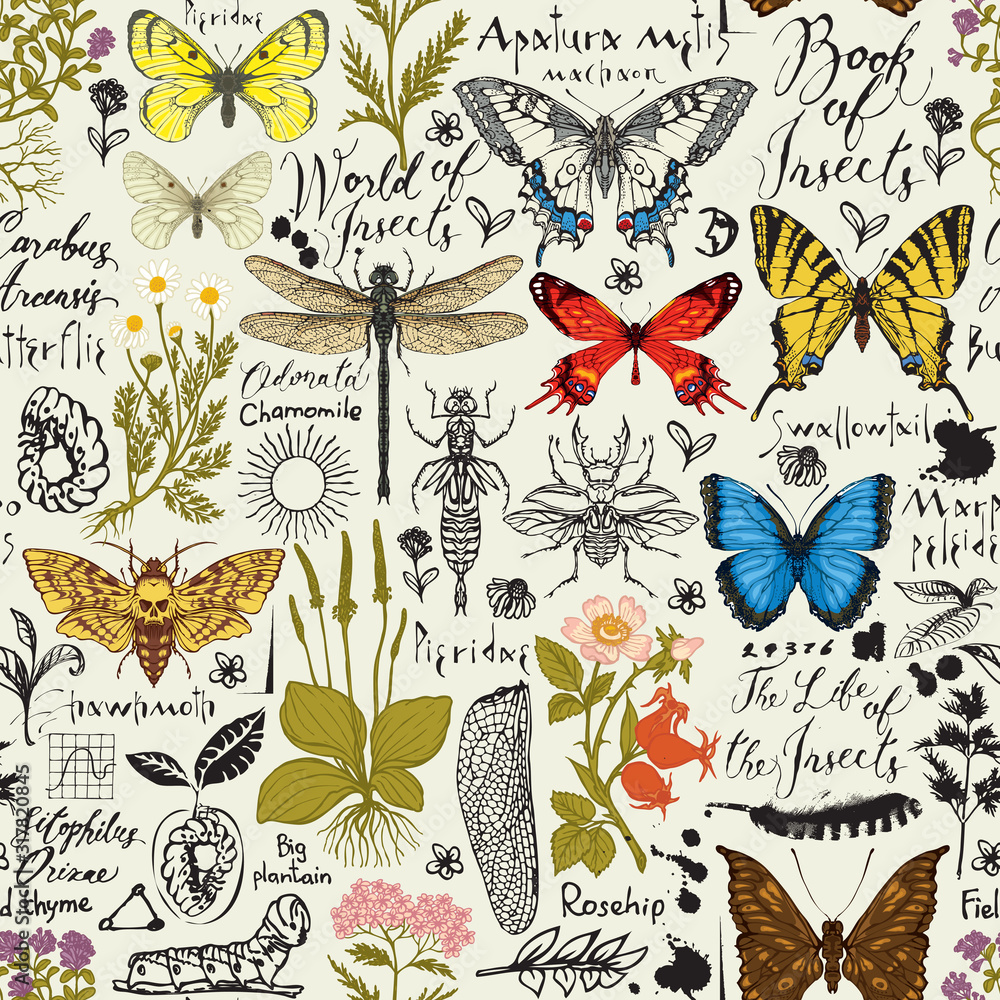 Vector abstract seamless pattern with insects and medicinal herbs in retro style. Colorful butterflies, beetles, various herbs, sketches and inscriptions. Wallpaper, wrapping paper, fabric, background - obrazy, fototapety, plakaty 