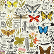 Vector abstract seamless pattern with insects and medicinal herbs in retro style. Colorful butterflies, beetles, various herbs, sketches and inscriptions. Wallpaper, wrapping paper, fabric, background