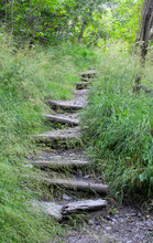 Old Broken Stairs In Grass