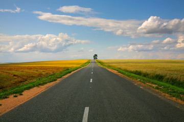 Road among fields goes into the beautiful sky