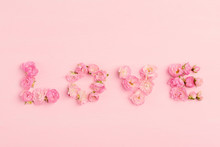 Pink Roses Blooming With Love Word On Pink Background, Valentines Day