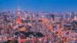 Tokyo Tower and Urban Skyline at dusk