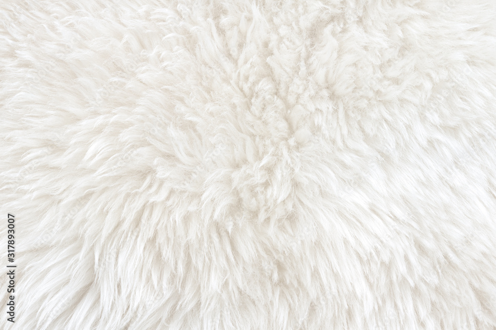 White real wool with beige top texture background. light cream natural sheep wool.  seamless plush cotton, texture of fluffy fur for designers - obrazy, fototapety, plakaty 