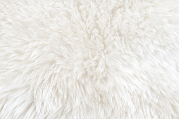 White real wool with beige top texture background. light cream natural sheep wool.  seamless plush cotton, texture of fluffy fur for designers