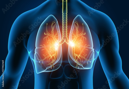 Fotomural Human lungs anatomy on science background. 3d illustration.