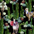 Funny watercolor seamless pattern of brown alpaca and cute cartoon llama with pasque-flower and peony illustration and cactus. Cute ostrich with white orchid hand-drawn illustration with succulents.