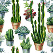Cacti seamless pattern watercolor. Cactus illustration. Use as print, home or garden decoration, wrapping paper, textile or wallpa