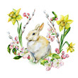 Hand-drawn watercolor for Easter holiday with bunny design and daffodils. Rabbit bohemian style, isolated spring season illustration on white.