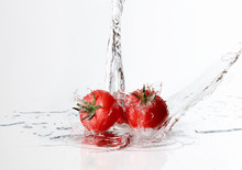 Fresh Tomatoes With Water Splash On White Background