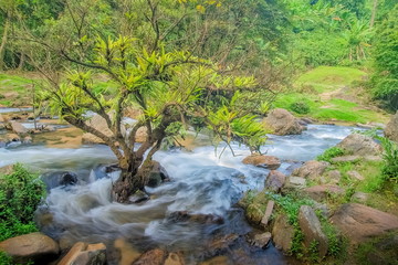 view of stream silky water flowing around with arch rocks, green forest and waterfalls background, Khlong Lan Waterfalls, Khlong Lan National Park, Kamphaeng Phet, Thailand.