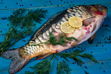Large Freshly Caught Carp On A Blue Wooden Table