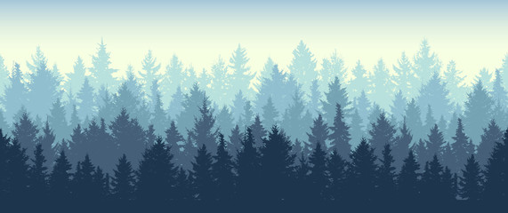 seamless coniferous winter forest background. nature, landscape. pine, spruce, christmas tree. fog e