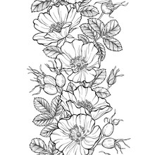 Floral Seamless Border, Line Art Drawing. Wild Rose Flowers And Berries Design Template. Rosehip Vector Illustration