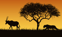 Realistic Illustration Of A Creeping Lion And Gazelle Or Antelope Silhouettes. The Feline Hunts For An Oryx. Safari Landscape With Grass, Tree And Orange Sky, Vector