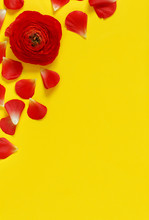Red Flowers And Petals On A Yellow Background