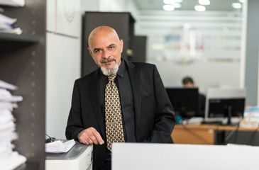 Senior mature businessman portrait