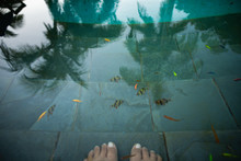 Feet In The Water Of A Live Fish Spa Pool
