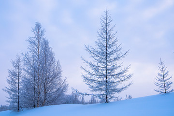 Wall Mural - winter mountain landscape