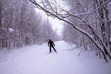 Wall Mural - walking in the snow