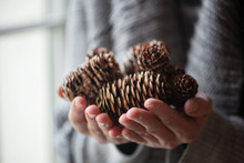 Midsection Of Woman Holding Pine Cones