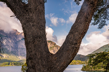 Wall Mural - patagonia